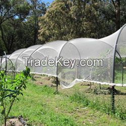 Fruit Tree Netting