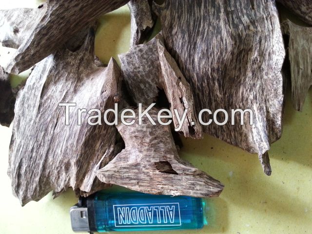 Agarwood