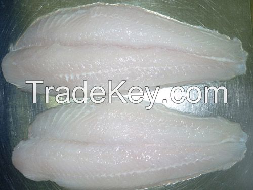 Best Price Pangasius / Basa Well-trimmed