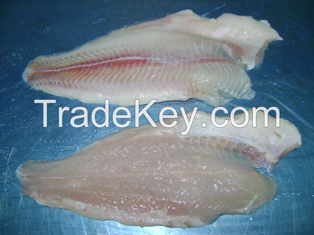 Cheap Price Pangasius / Basa Un-trimmed