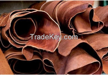 Raw Lamb Leather from Chile