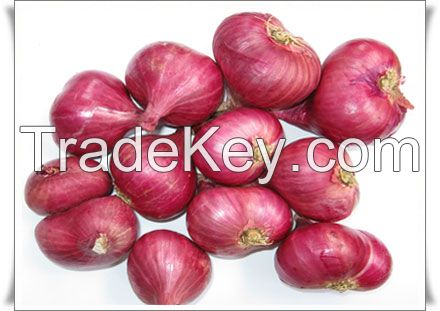 Red onion