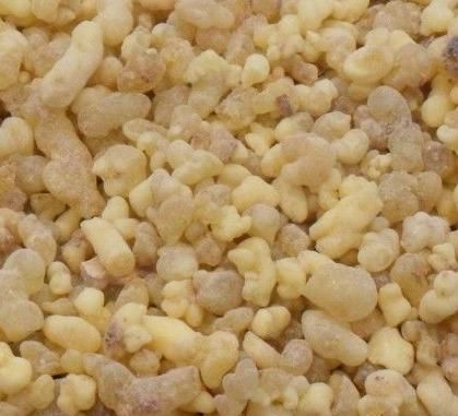 Frankincense resin/Gum olibanum