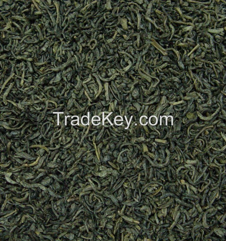 Chinese green tea chunmee with leaf washed