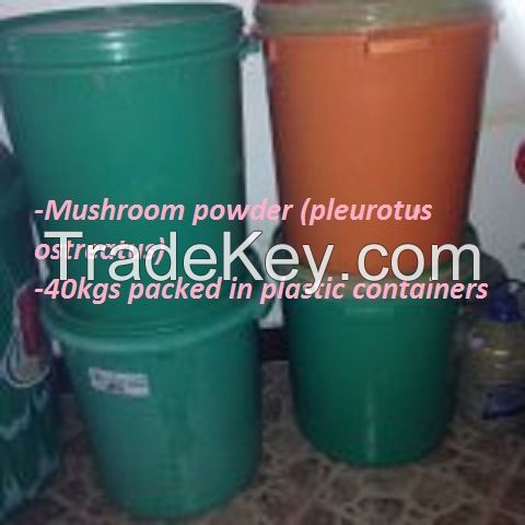 mushroom powder