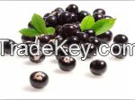 Acai Berry Extract Extraction Ration 4:1, 10:1