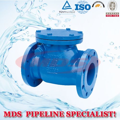 check valve,butterfly check valve