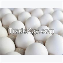 Fresh White Eggs