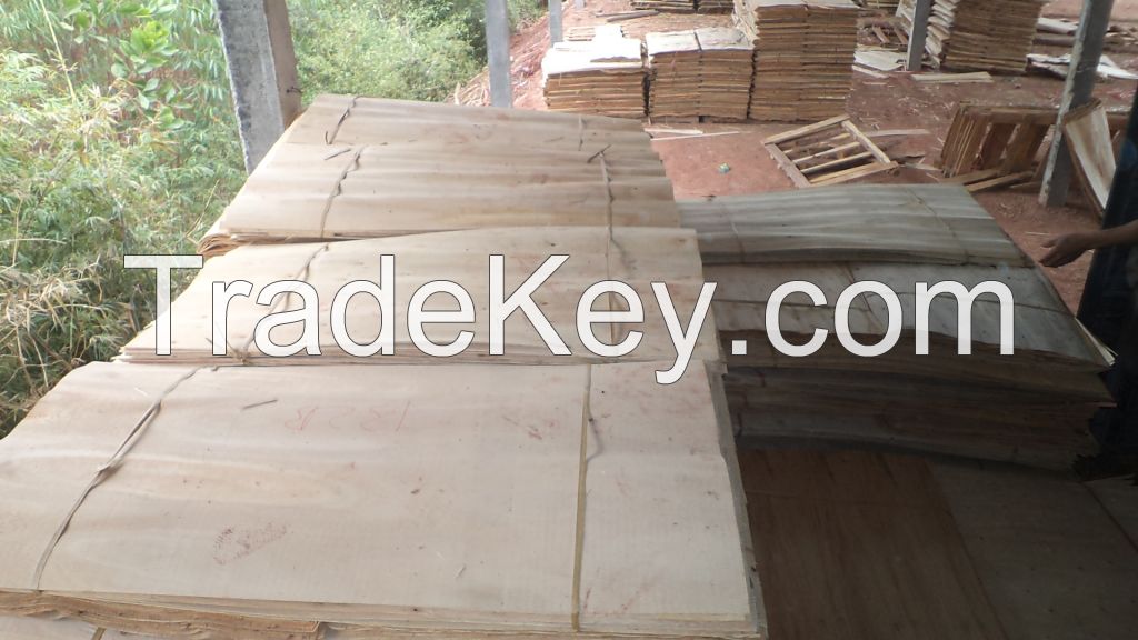 acacia, eucalyptus core veneer from VIET NAM