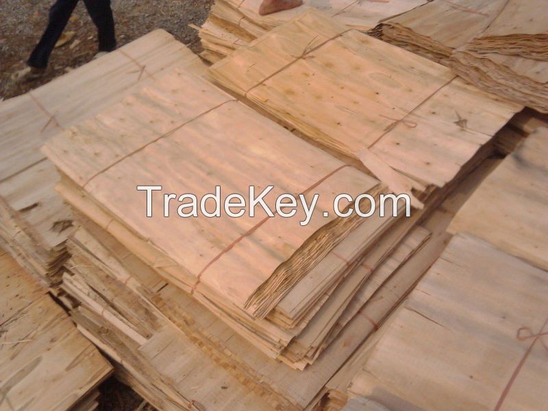 acacia, eucalyptus core veneer Best price