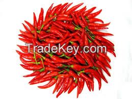 Red Chilli