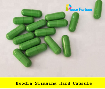 Slimming Weight Loss Product Hoodia Gordonii Pills