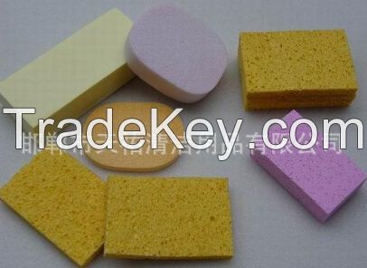 PVA sponge