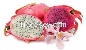 dragon fruit