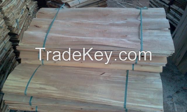 Cheapest Price Of Eucalyptus Core Veneer (*****)