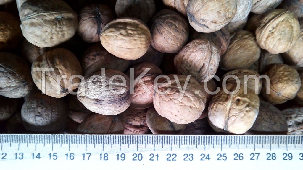 Inshell Walnuts