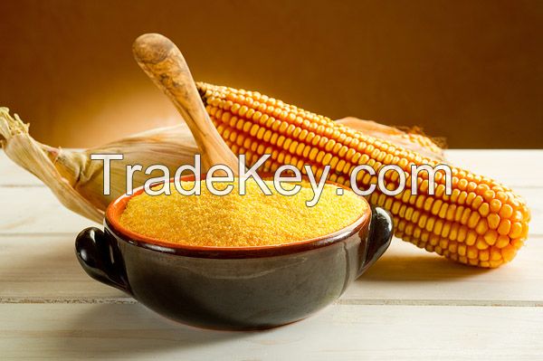 Corn Flour