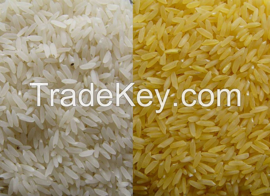 Rice