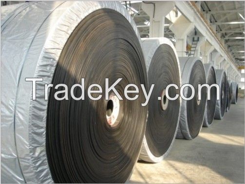 Conveyor belts, V-belts or Transmission belts