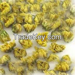 Dried Chrysanthemum morifolium