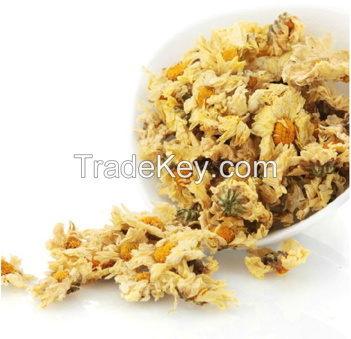 Dried chrysanthemum flower