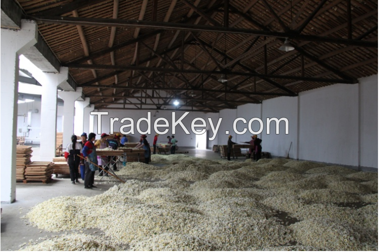 Hangzhou White Chrysanthemum, Chrysanthemum, Dried Flower