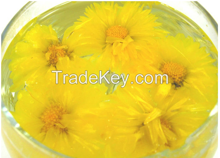 Dried Chrysanthemum