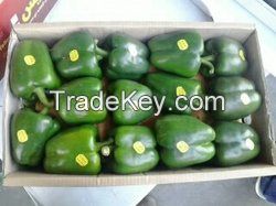 Fresh Capsicum