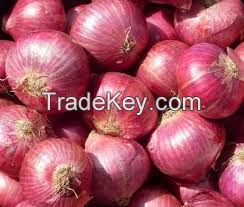 Fresh onion