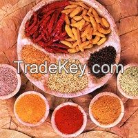 Spices And Condiments