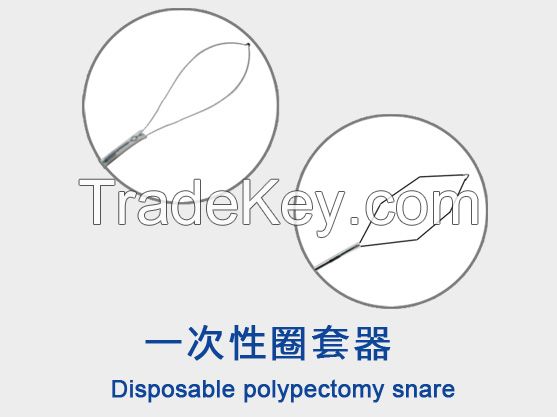 Disposable Polypectomy Snare