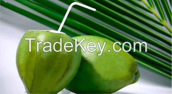 Coconut Water for sale