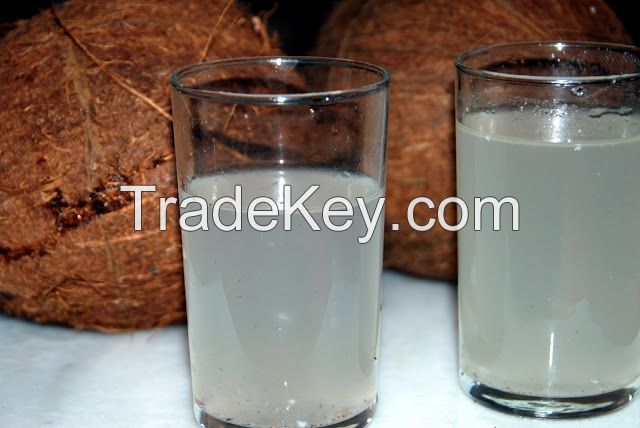 Coconut Water for sale