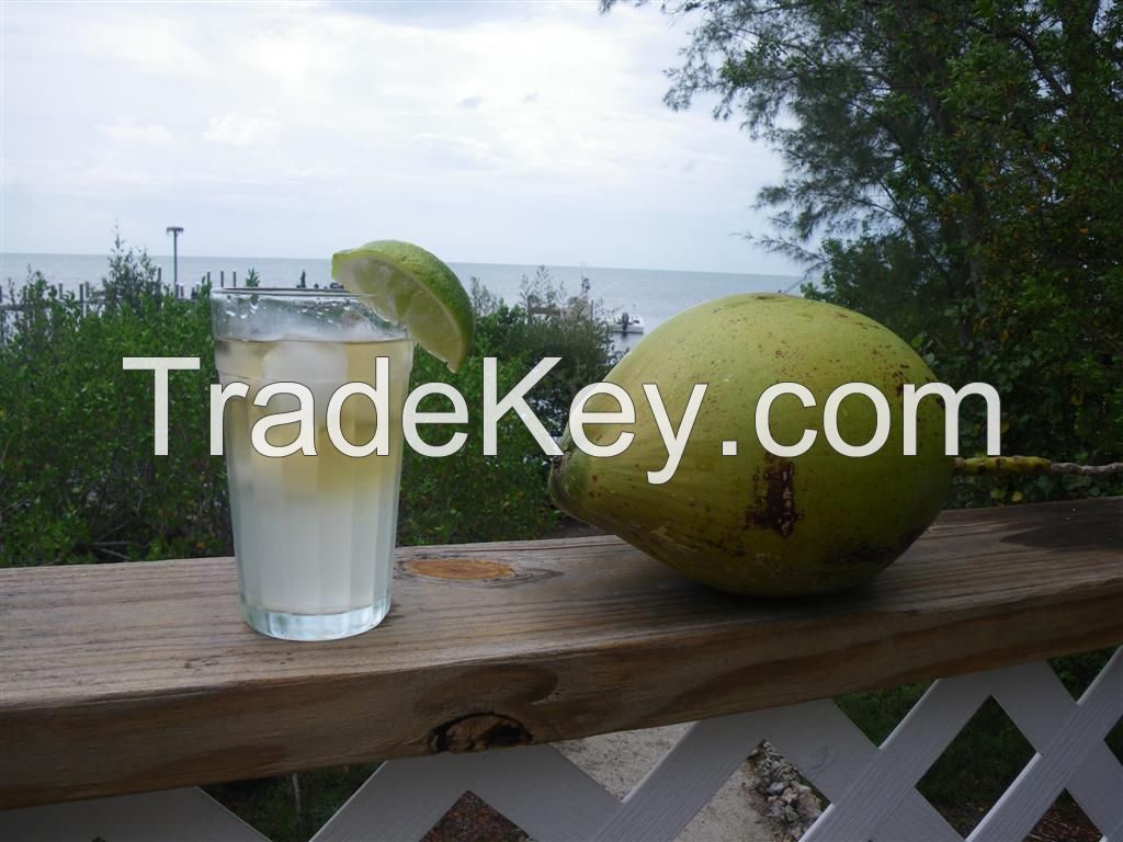 Coconut Water for sale