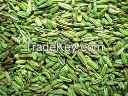 Fennel Seeds (Saunf)