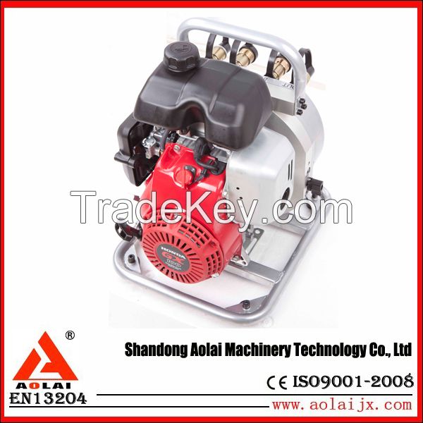 Double Output Motor Pump