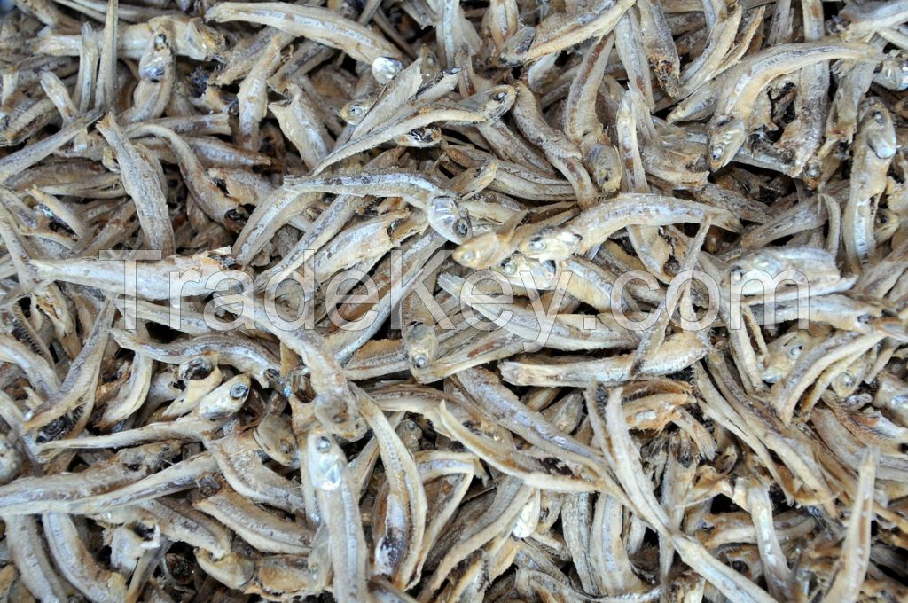 Dried Anchovy