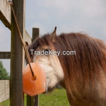 Himalayan Salt Animal lick Round Shape