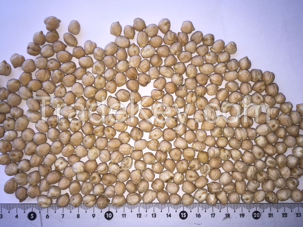 Chickpeas kabuli, whole and split