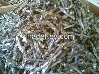 Dried Salted Fish