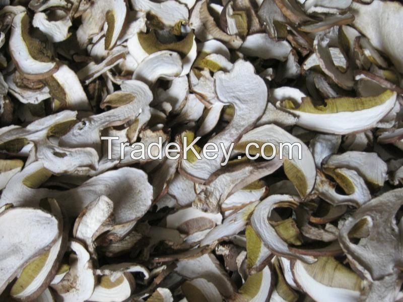 Dried Mushrooms (Boletus etc.) from Bulgaria 100% Wild and Organic