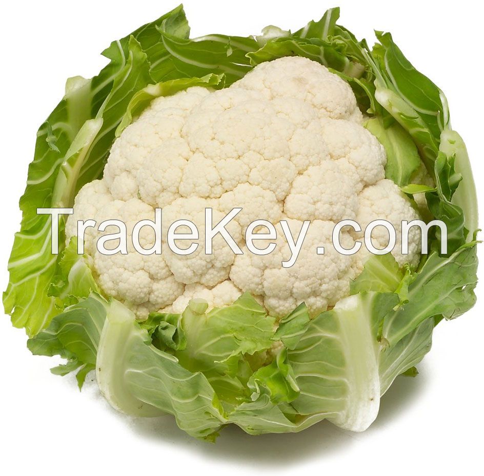 Fresh Cauliflower