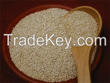 PERUVIAN QUINOA