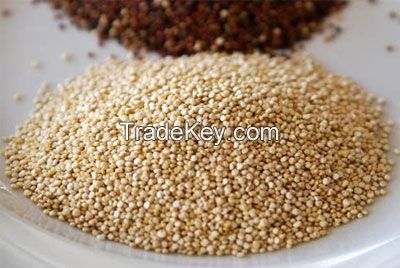 PERUVIAN QUINOA