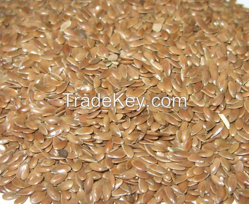 Flax Seeds