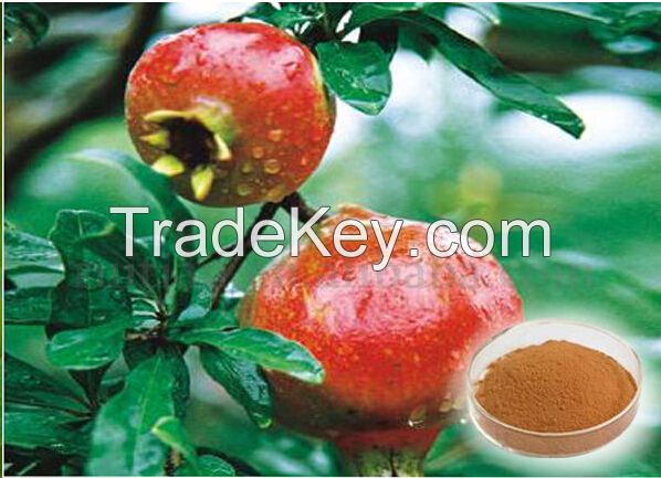 natural pomegranate peel powder extract