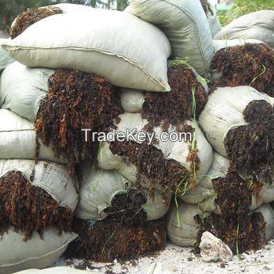 Dried Sargassum Seaweed/Seaweed Powder/ Ms.Thi Nguyen +84 988 872 713