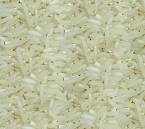 RICE SUPPLIER| PARBOILED RICE IMPORTERS | BASMATI RICE EXPORTER| KERNAL RICE WHOLESALER| WHITE RICE MANUFACTURER| LONG GRAIN TRADER| BROKEN RICE BUYER | IMPORT BASMATI RICE| BUY KERNAL RICE| WHOLESALE WHITE RICE| LOW PRICE LONG GRAIN