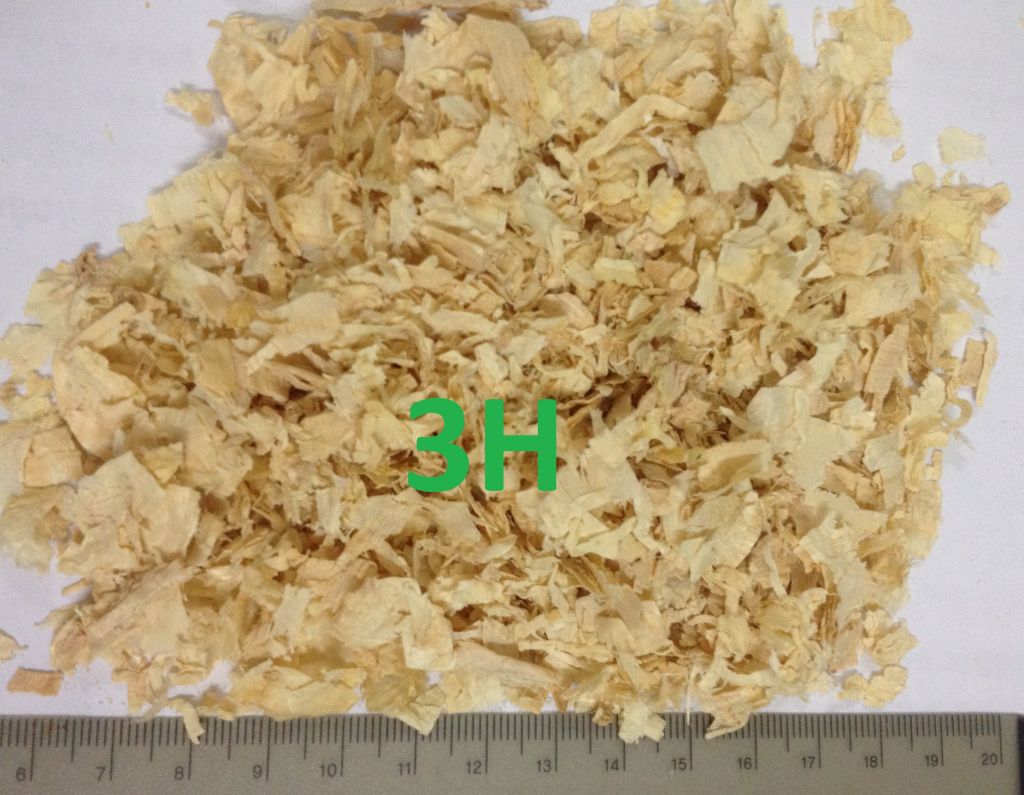 Pine Shavings