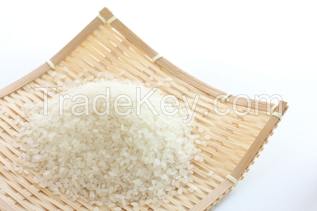 jasmine rice 5% broken-high quality, cheap price